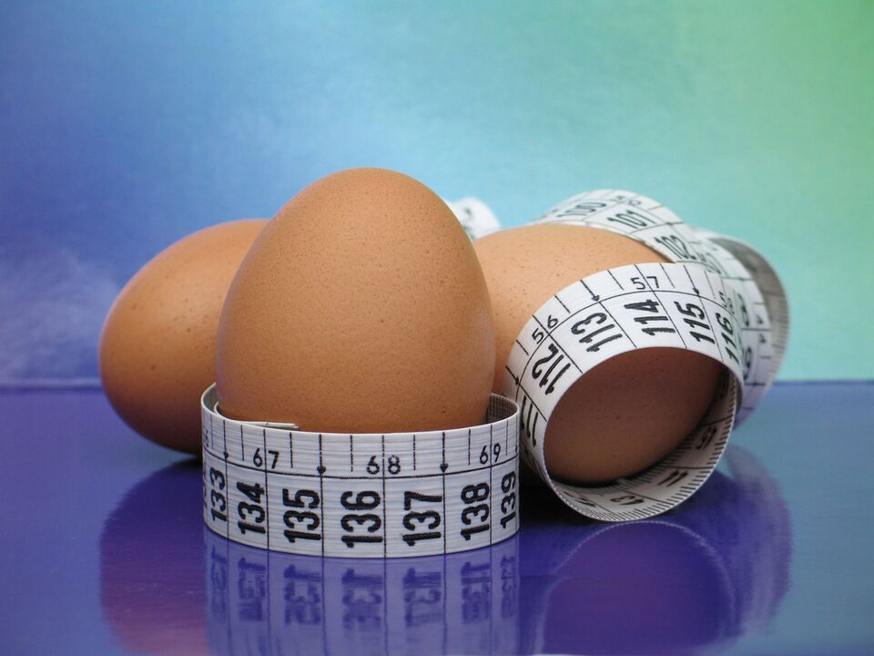 Diet telur