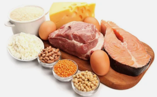 kelebihan makanan di protein